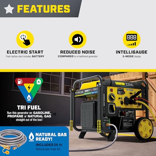 Champion 201520 10000W Tri Fuel Inverter product photo 4